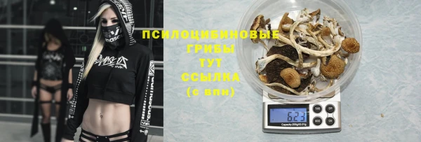 трава Киренск